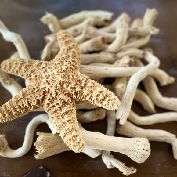 Pottery Barn Other - Pottery Barn drift wood vase filler